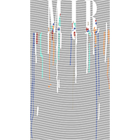 Brand Catalog-ZX 805